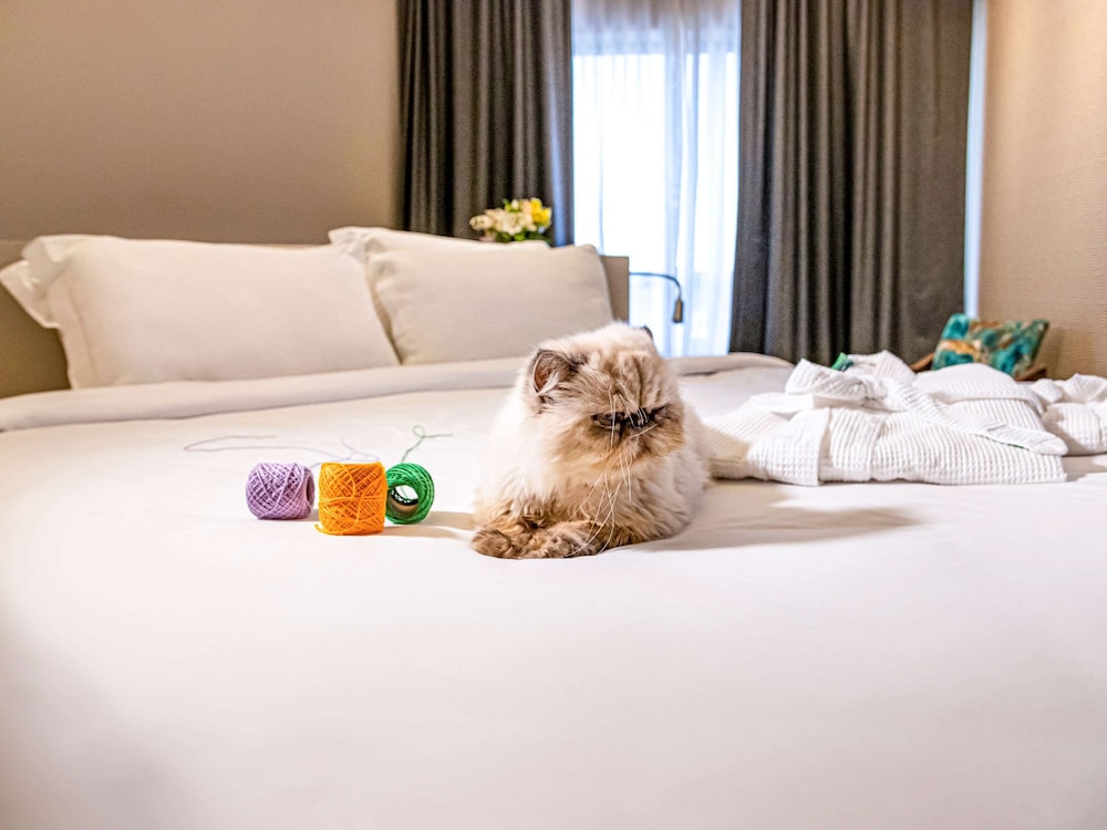 mercure florianopolis convention hotel