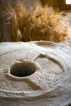 rusticae bajo el cejo guest house