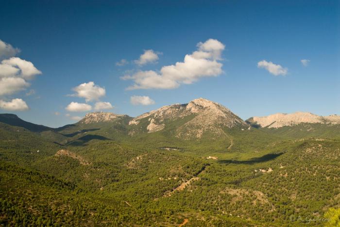 alhama de murcia