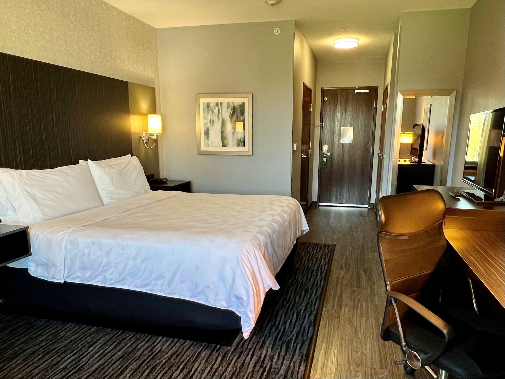 holiday inn carlsbad an ihg hotel