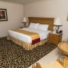 marriott hotel tijuana