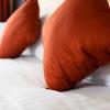 Dragonfly Hotel Bury St Edmunds,Suffolk>>Bury St Edmunds,3 star