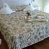 suite hotel nettuno