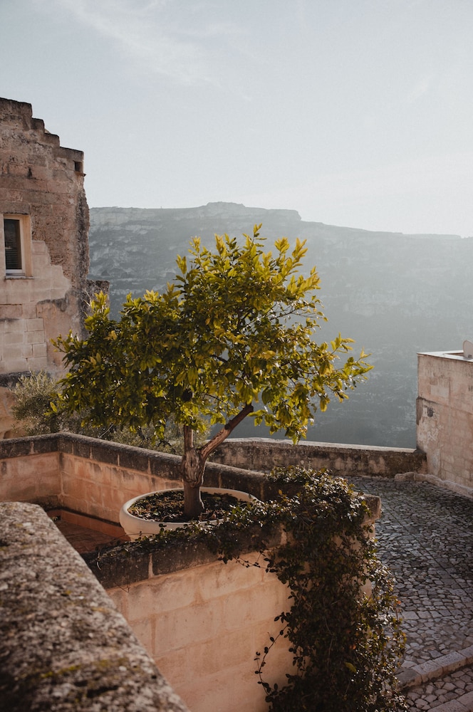 santangelo matera