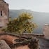 santangelo matera