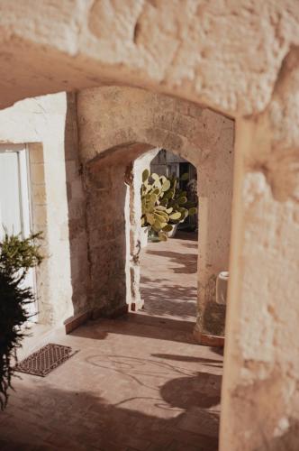 santangelo matera