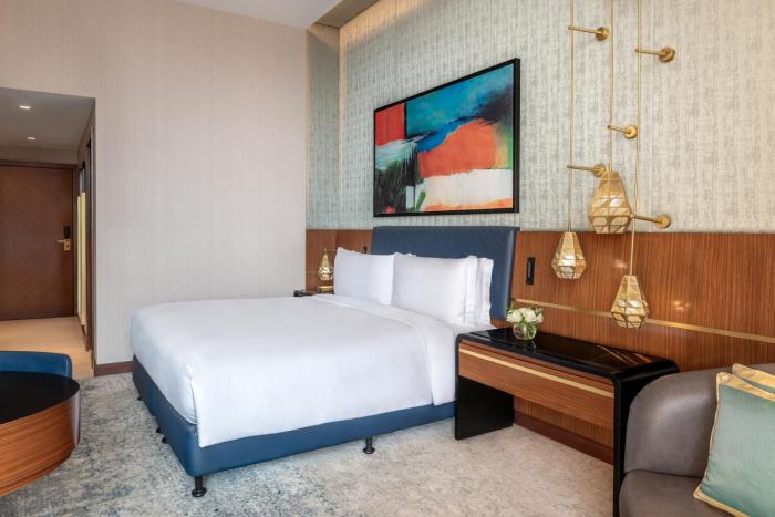 sofitel cairo downtown nile