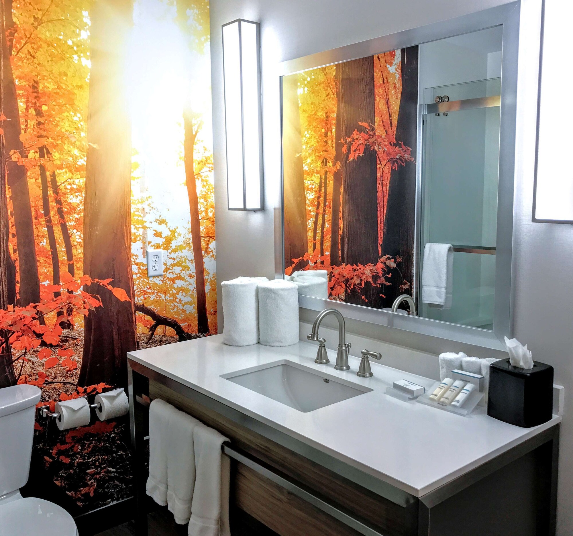 hilton garden inn minneapolis airport mall of america