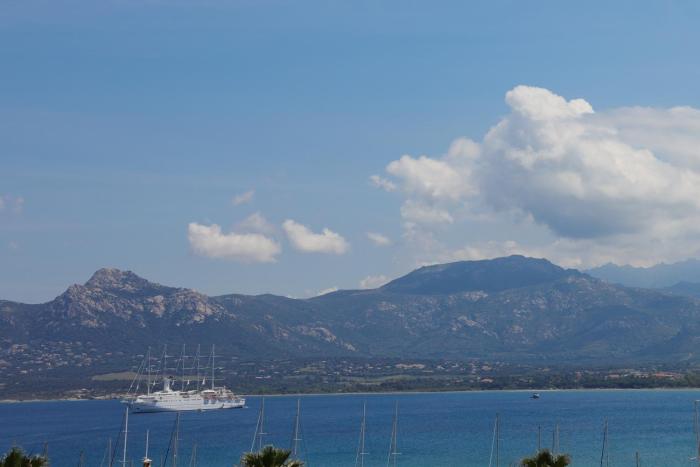 calvi