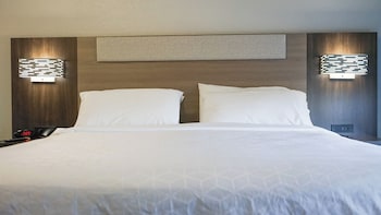 holiday inn express and suites lakeland north i 4