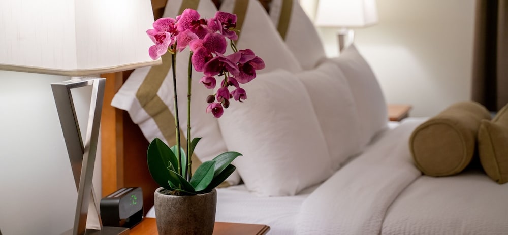 service plus inns and suites calgary