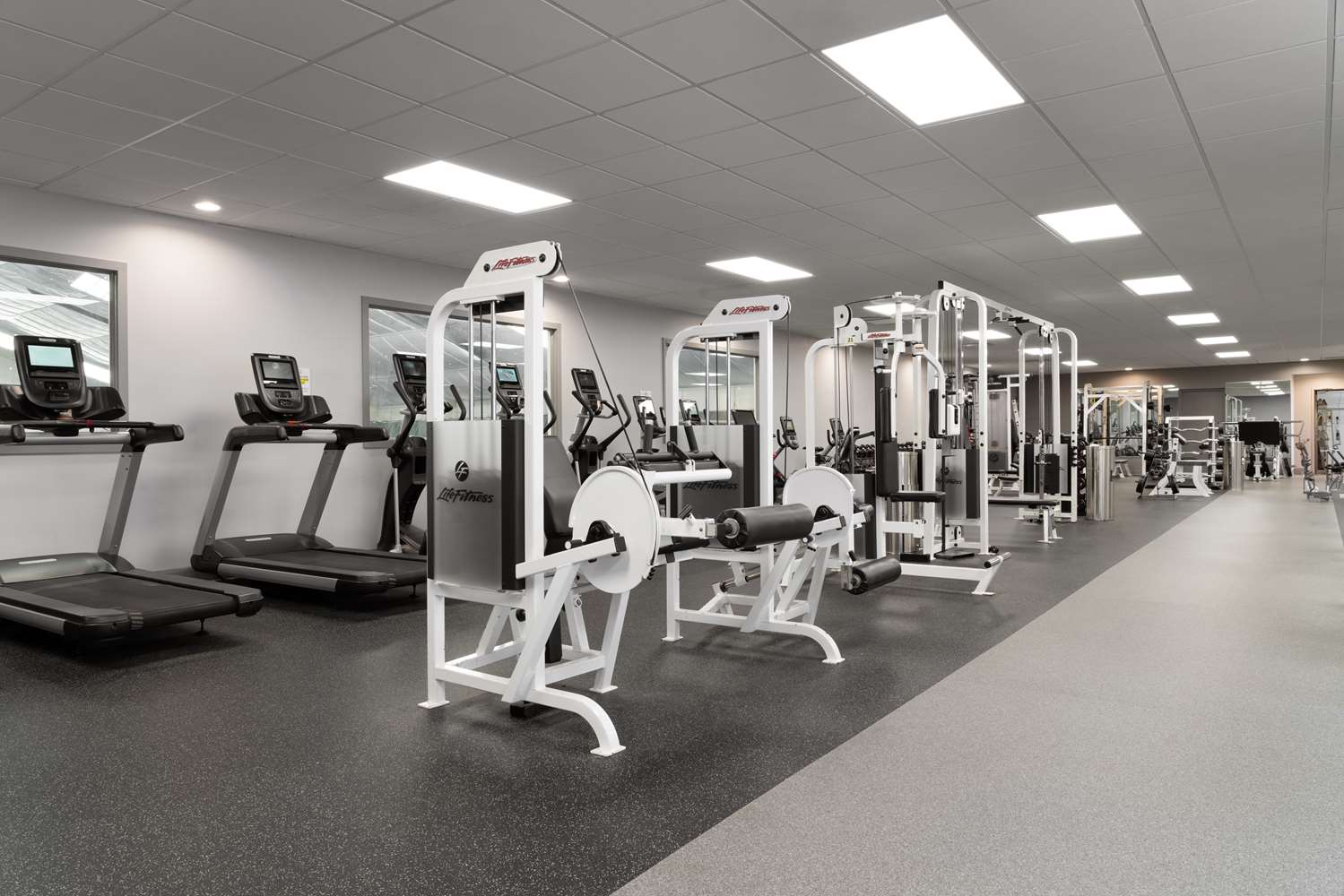 doubletree by hilton baltimore north pikesville