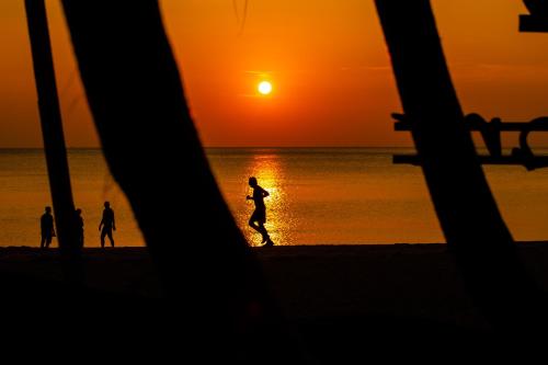 eco lanta hideaway beach resort