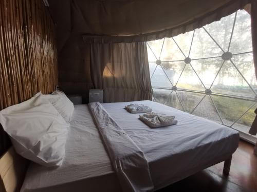 eco lanta hideaway beach resort