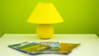 whole wide world hostel and bar