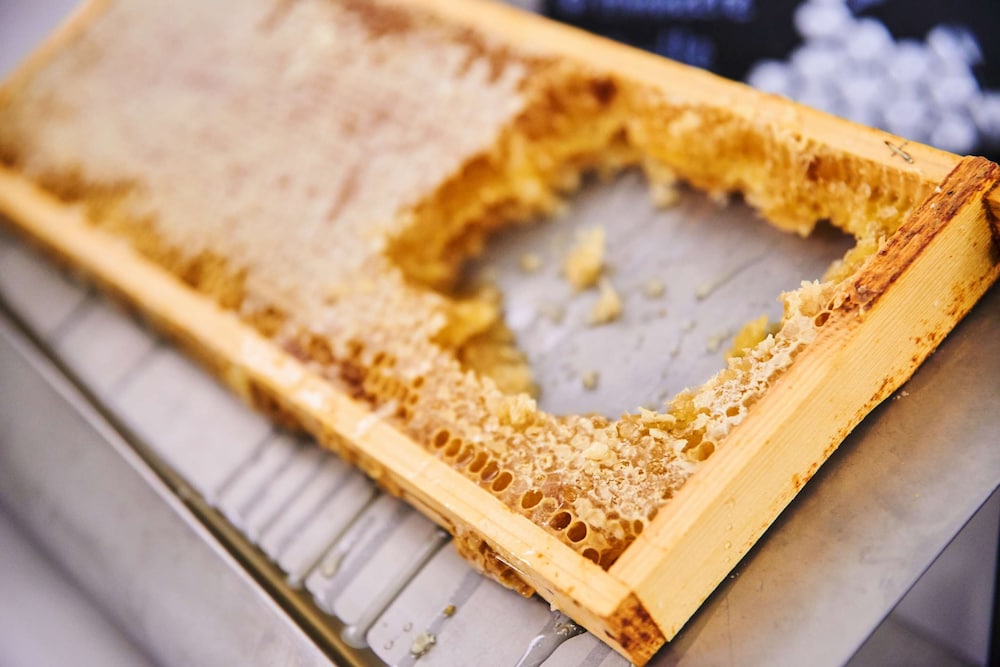 maxx by steigenberger vienna