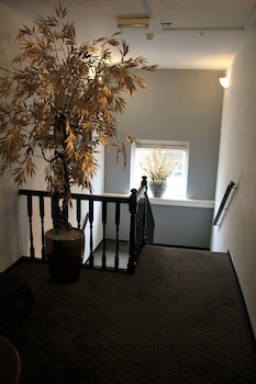 hotel de jonge heertjes