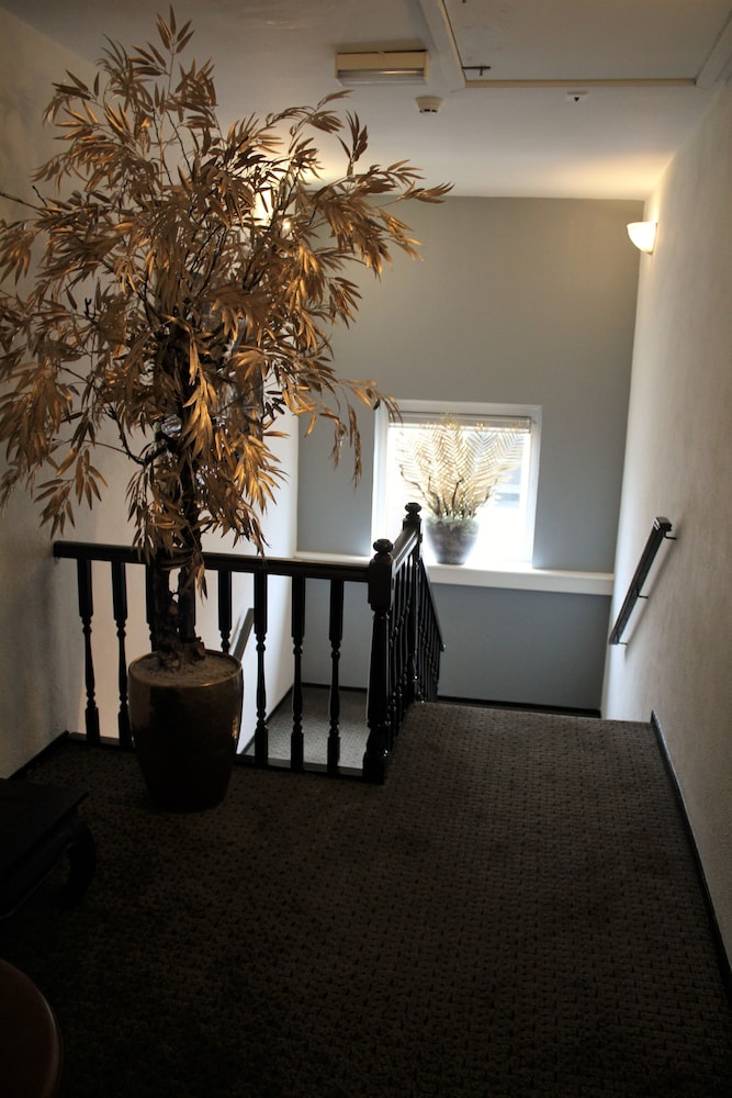 hotel de jonge heertjes