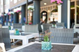 hotel de jonge heertjes