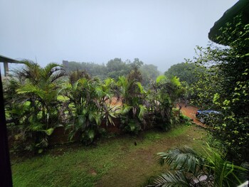 mahabaleshwar