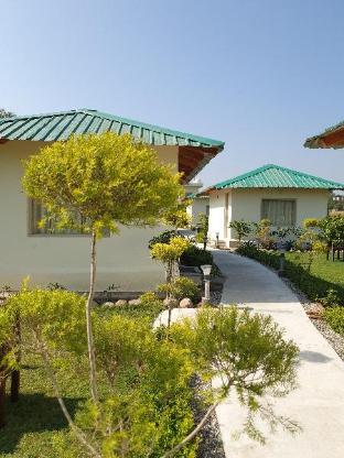 the tiger claw resort