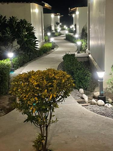 the tiger claw resort