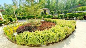 the tiger claw resort