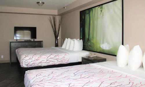 surestay plus hotel by best western el cajon