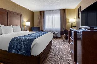 comfort inn and suites alameda at albuquerque balloon fiesta park