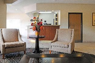 comfort inn and suites alameda at albuquerque balloon fiesta park