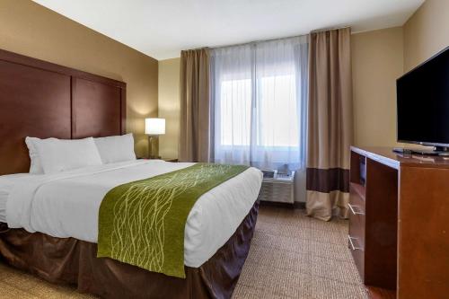 comfort inn and suites alameda at albuquerque balloon fiesta park