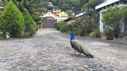 antigua guatemala