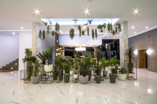 ouril hotel mindelo