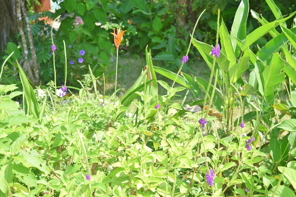 hotel las tres banderas