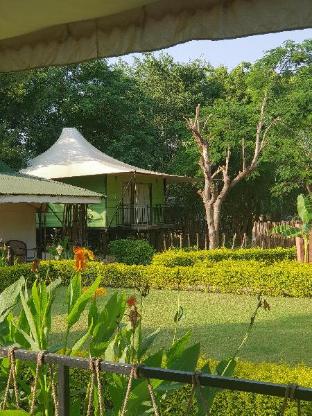 sariska tiger heaven resort