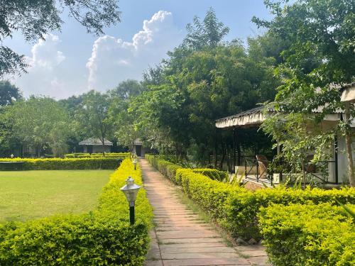 sariska tiger heaven resort