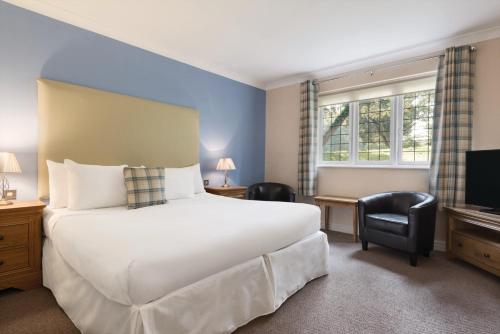 cwrt bleddyn hotel and spa