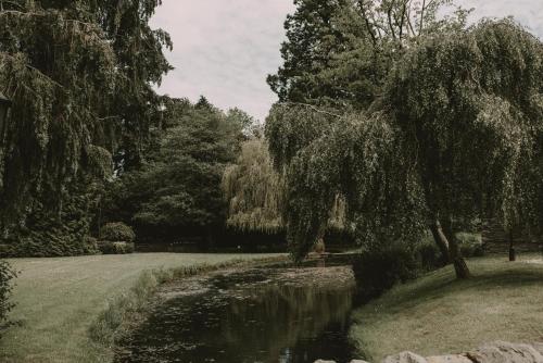 cwrt bleddyn hotel and spa