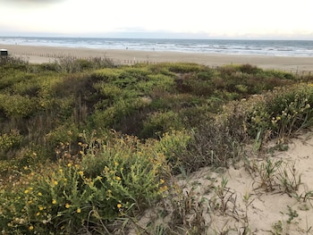 executive keys condominiums on the beach