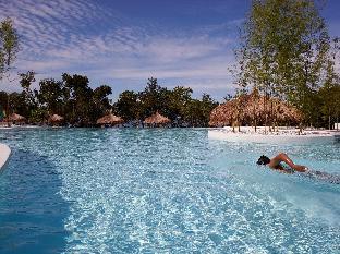 bluewater panglao beach resort