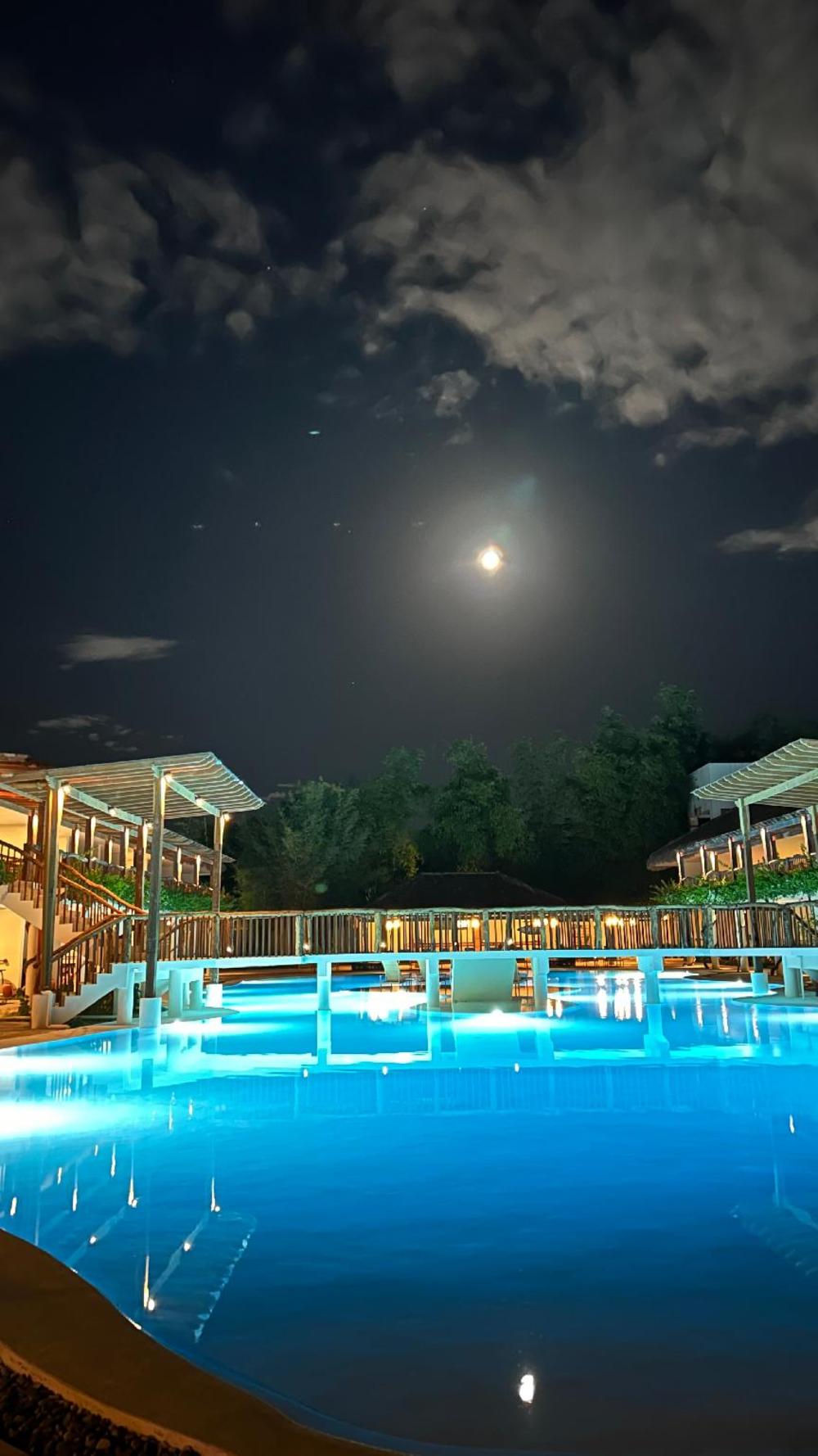 bluewater panglao beach resort