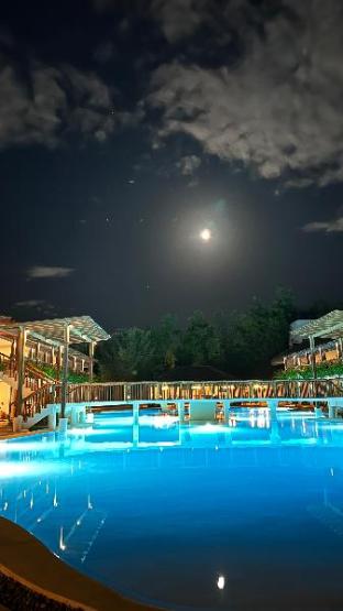 bluewater panglao beach resort