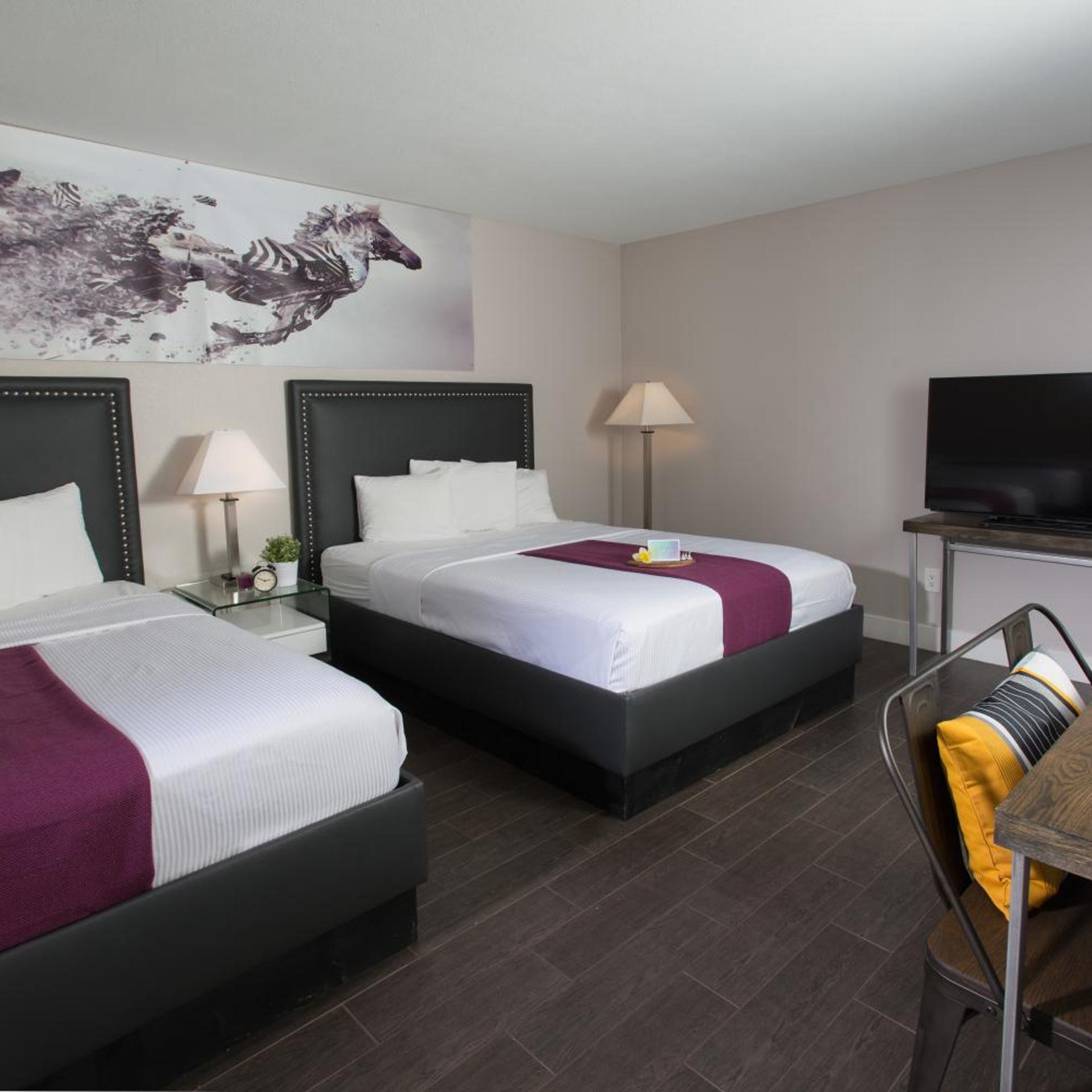 hotel iris san diego