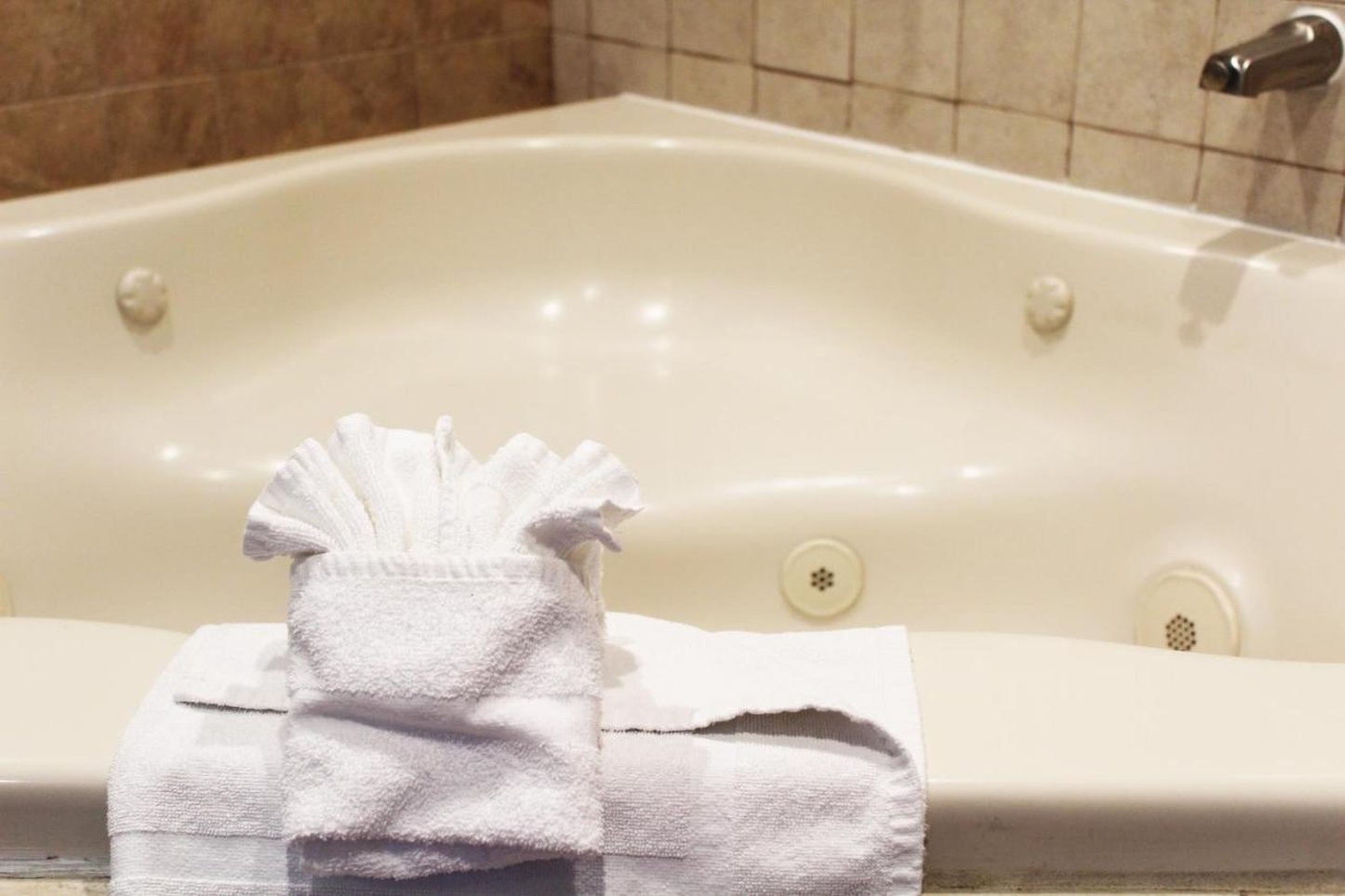 hotel iris san diego