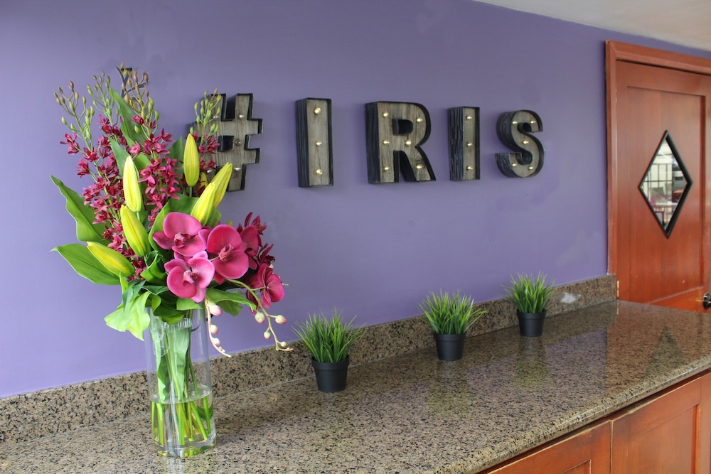 hotel iris san diego