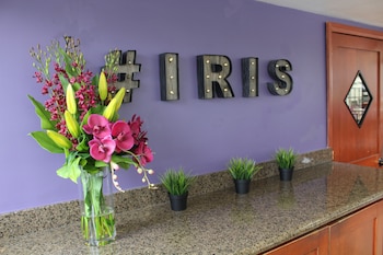 Hotel Iris - San Diego,United States Of America>>San Diego,3 star
