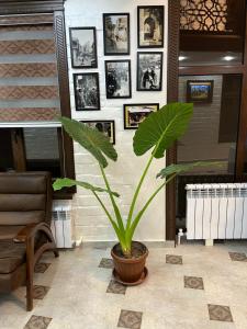 hotel grand marakand