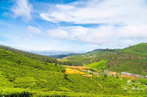 the blackberry cottage