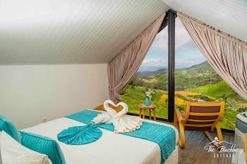 the blackberry cottage