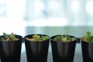 7 Days Hotel Plus,Ryuga Onsen>>Kochi,3 star